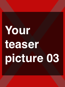 Your teaser picture